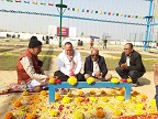 ८ करोडको लगानीमा पल्ट ‘वल्र्ड अफ अण्डर’ पार्क बीरगंज